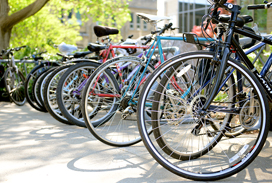 Bicycles on campus