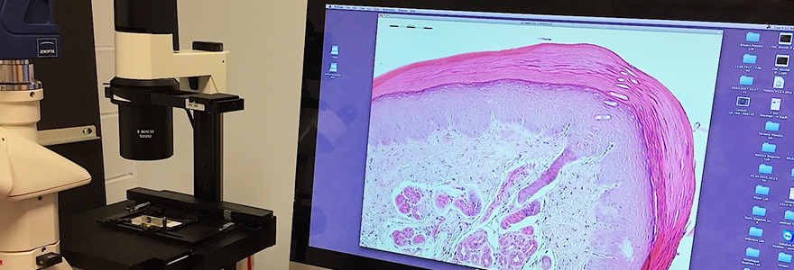 Computer with histology sample image