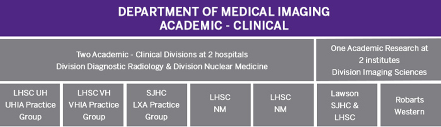 Department of Medical Imaging Academic - Clinical Chart