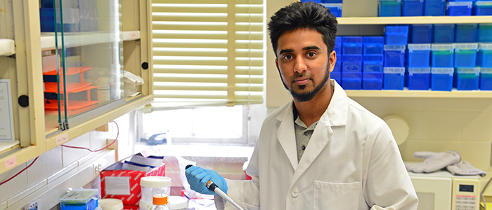 Thesis repository uwo image