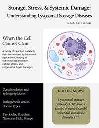 team_16_image.jpg