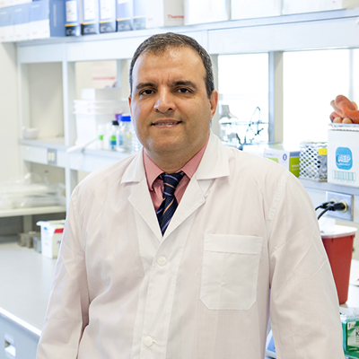 Mansour Haeryfar, PhD