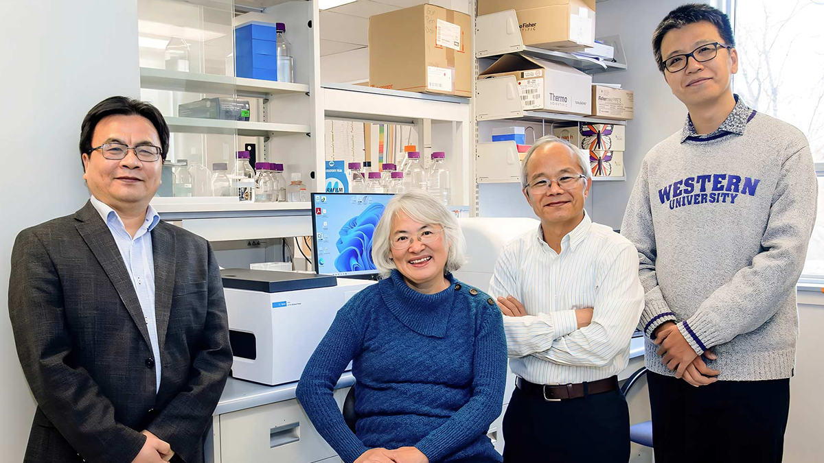 International team uses AI to discover new drugs for fighting cancer and infectious disease