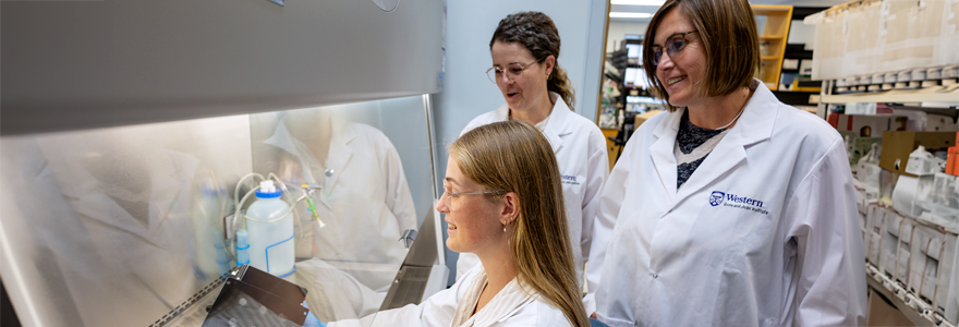 Graduate student Emma Punkari works with Cheryle Séguin, PhD, and Lauren Flynn, PhD, to culture engineered disc tissues in a bioreactor system designed to simulate normal loading in the spine. (Parshati Patel/Western Research)