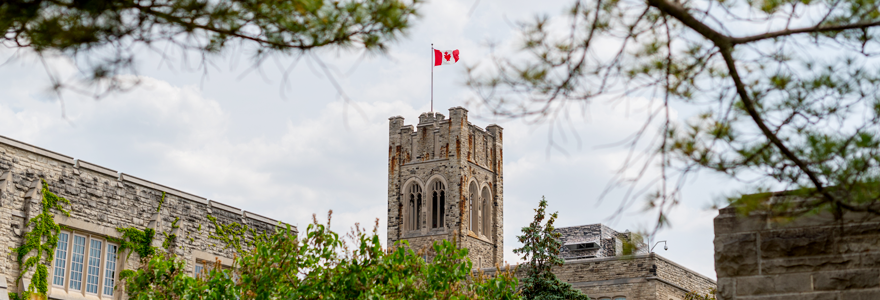 With new Tri-Council funding, more than 50 scholars are advancing biomedical and health research projects to improve lives and solve pressing challenges. (Becky Horst/Schulich Medicine & Dentistry)