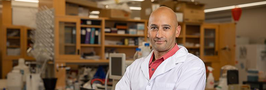 A new study, co-led by Stephen Barr, PhD, reveals that HIV cloaks itself in the DNA of infected cells using unique DNA patterns in the brain, blood and parts of the digestive tract. (Frank Neufeld)