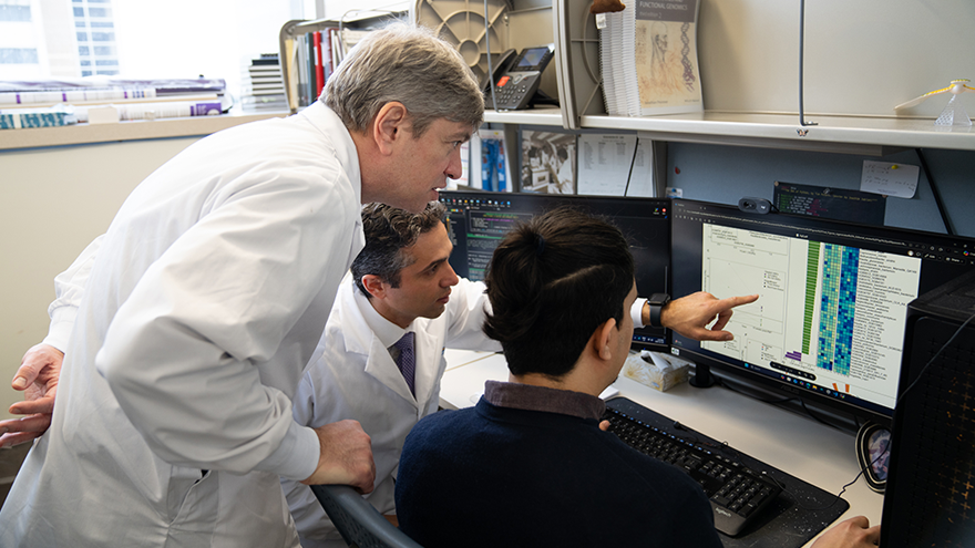 Dr. Ricardo Fernandes, Saman Maleki and Behnam Jabbarizadeh