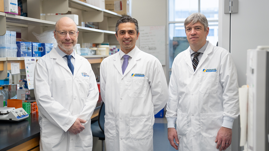 Dr. Michael Silverman, Saman Maleki and Dr. Ricardo Fernandes