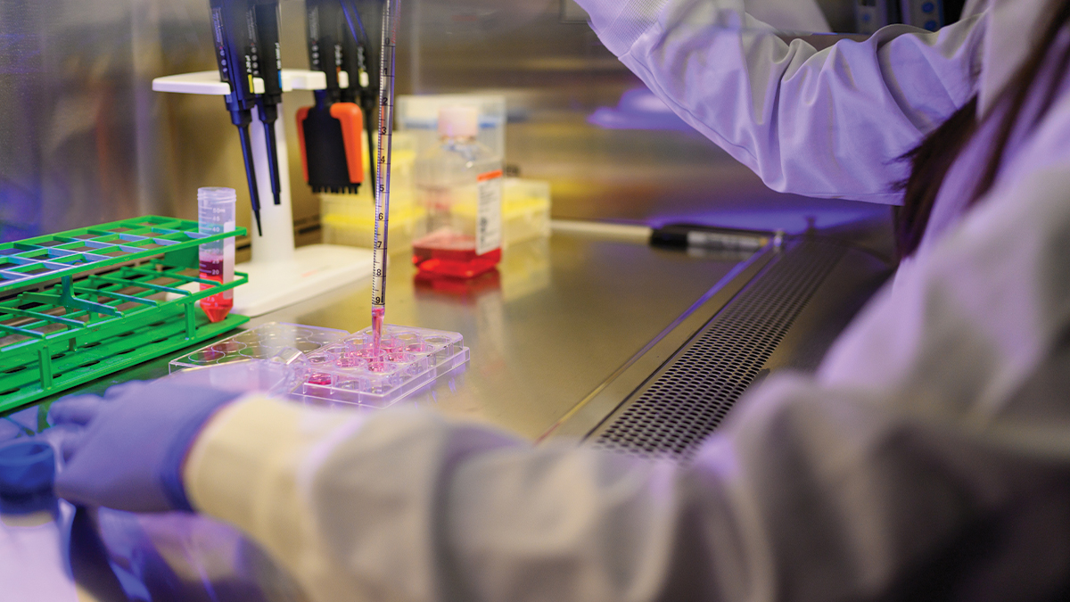 Close up on gloved hands in a research lab