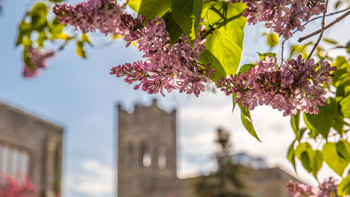 Campus in springtime