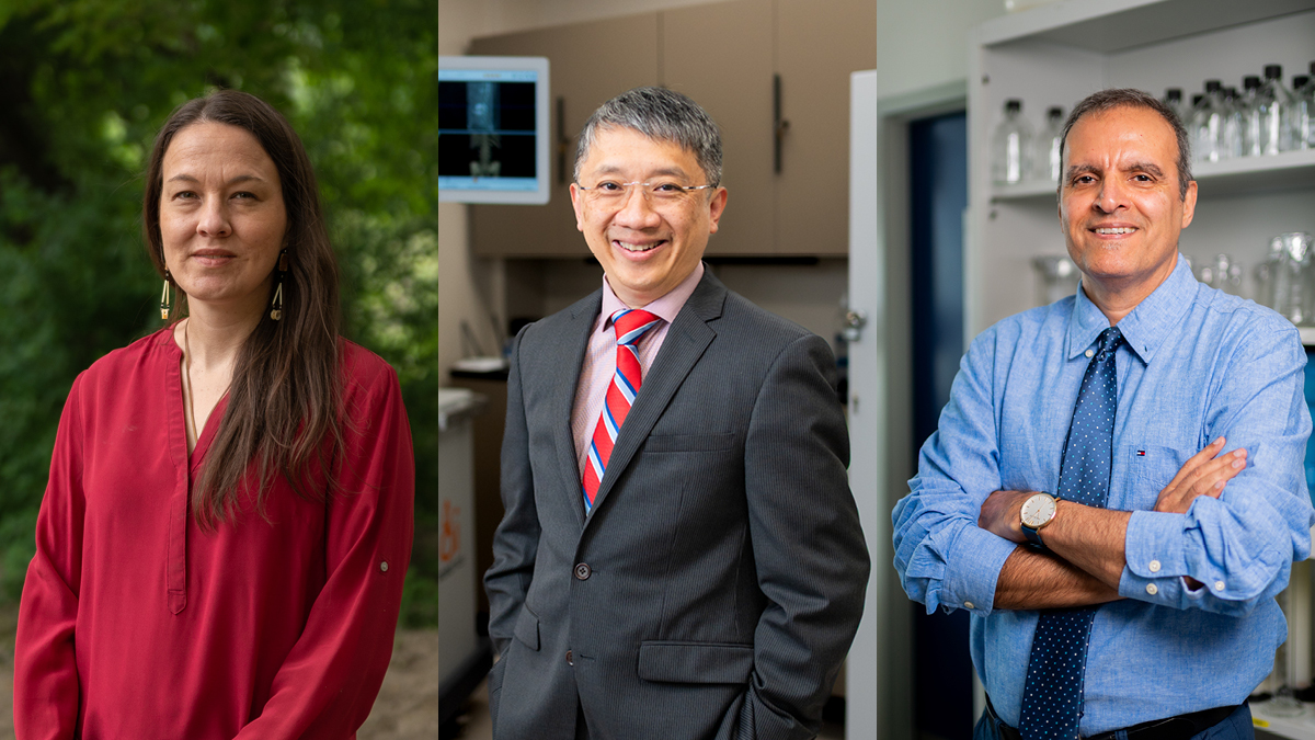 Nicole Redvers, Victor Yang and Mansour Haeryfar