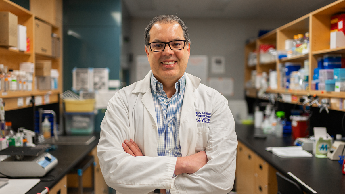 Shawn Whitehead, PhD