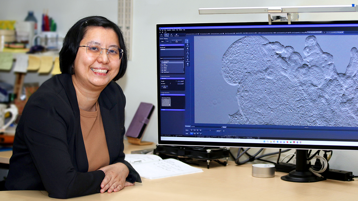 Van Lu, PhD