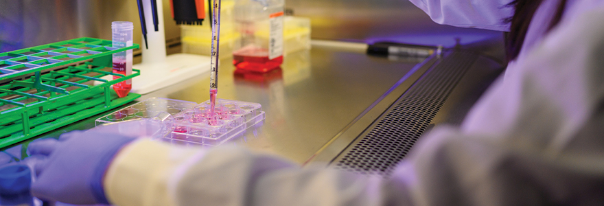 Laboratory research