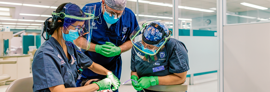 Clinical training environments at Schulich Dentistry are designed to support student learning and community needs. (Megan Morris/Schulich Medicine & Dentistry)