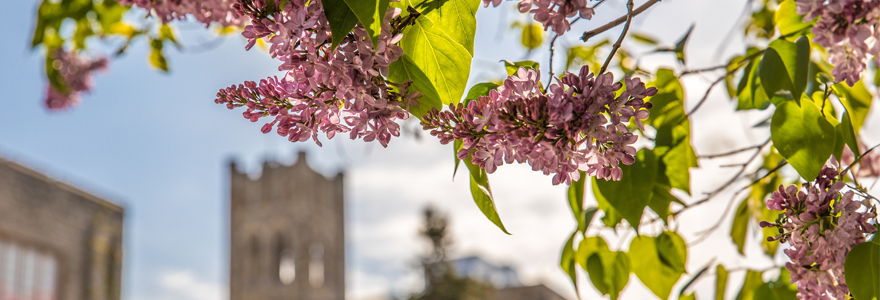 (Western University)