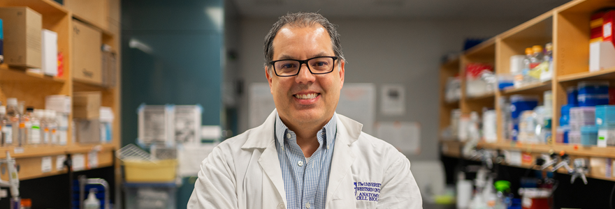 Shawn Whitehead, PhD