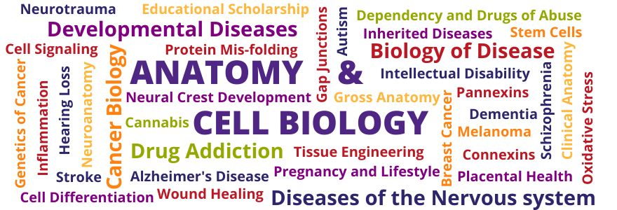 ANATOMY-CELL-BIOLOGY-Word-Cloud-1.png