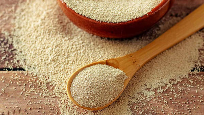 From the Kitchen to the Bench: How Yeast Helps Us Understand Neurodegeneration 