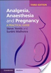 analgesia-anesthesia-pregnancy
