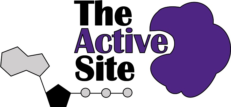 image for active site newsletter