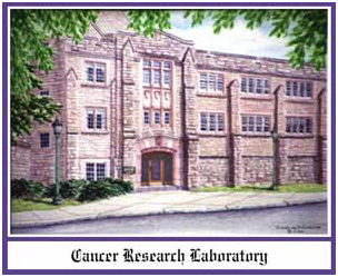 picture of Cancer Research Laboratory on campus in 1960s
