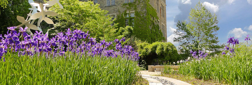 picture of flowers and buildings at Western University