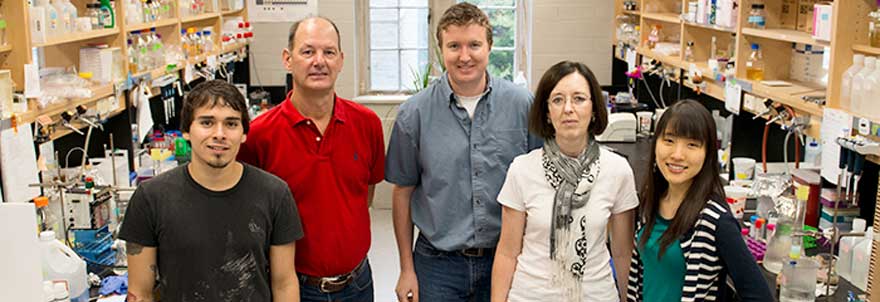 photo of people of Shaw lab