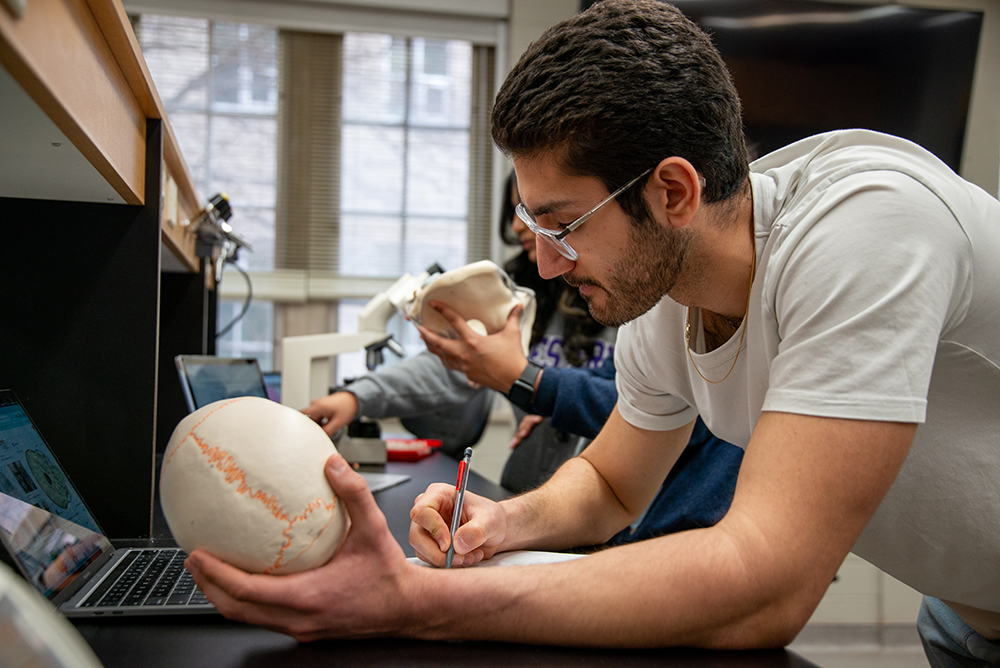 Students in a lab using anatomical skull models for study, referencing laptops and taking notes during a hands-on learning session.