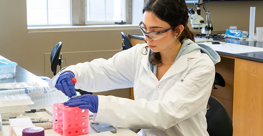 Student in a lab coat working with petri dishes under a hood