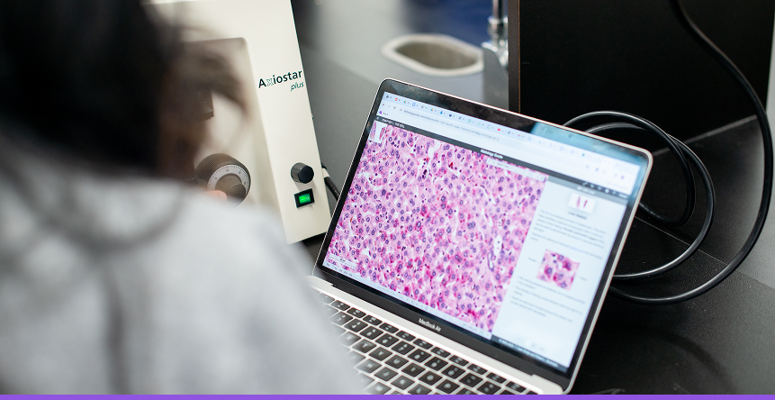 Student in Western sweatshirt smiling in hallway.