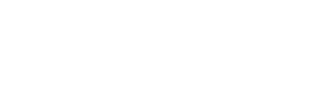 Schulich horizontal logo