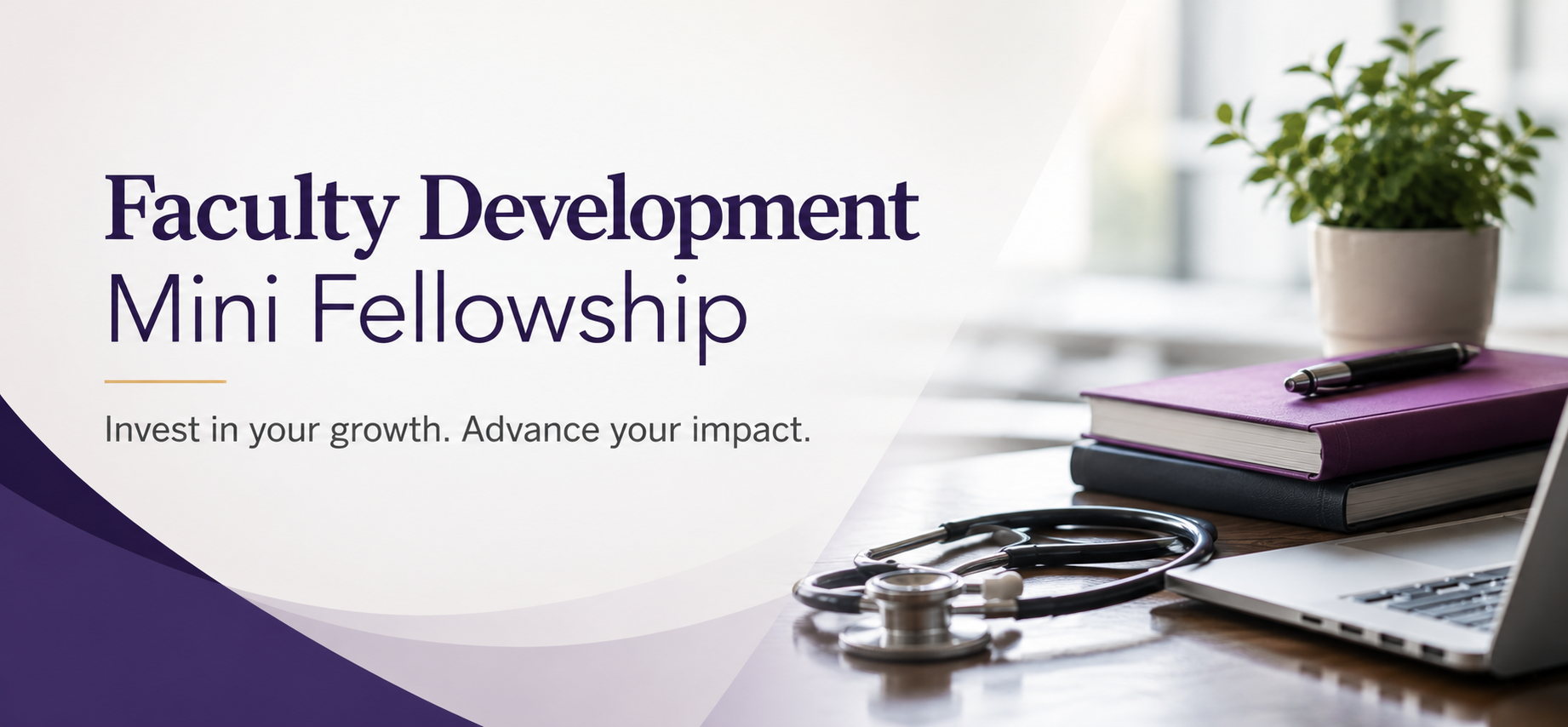 Faculty Development Mini Fellowship