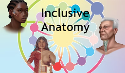 Inclusive Anatomy button leading to website