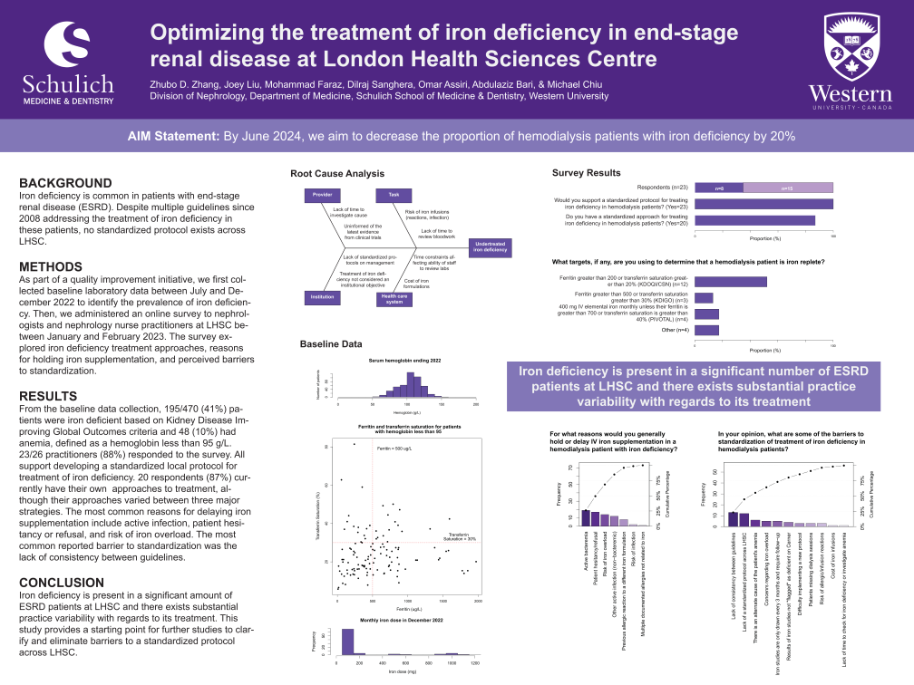 BISQ_2022-2023_Iron_Deficiency_Poster.png