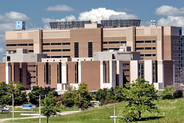 Victoria Hospital Rotations