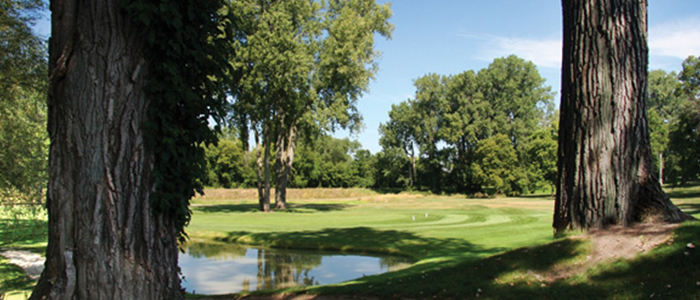 Chatham Distributed Education Western University