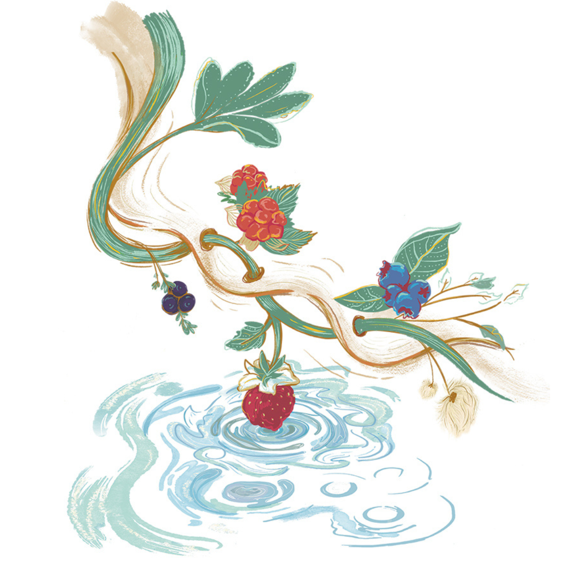 berries growing on a branch dipping in water