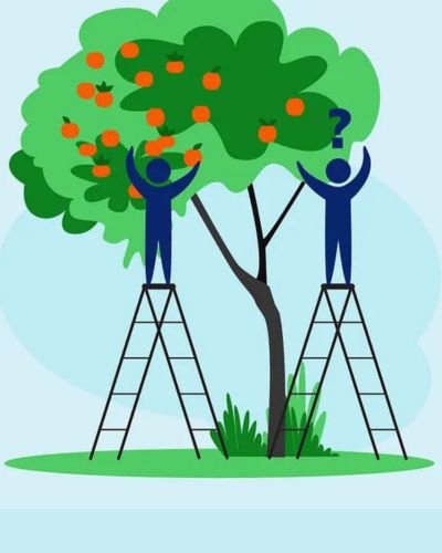 Illustration of two figures on equal size ladders reaching for apples on a tree but all the apples are on the side of one and not the other so the figure cannot reach the apples