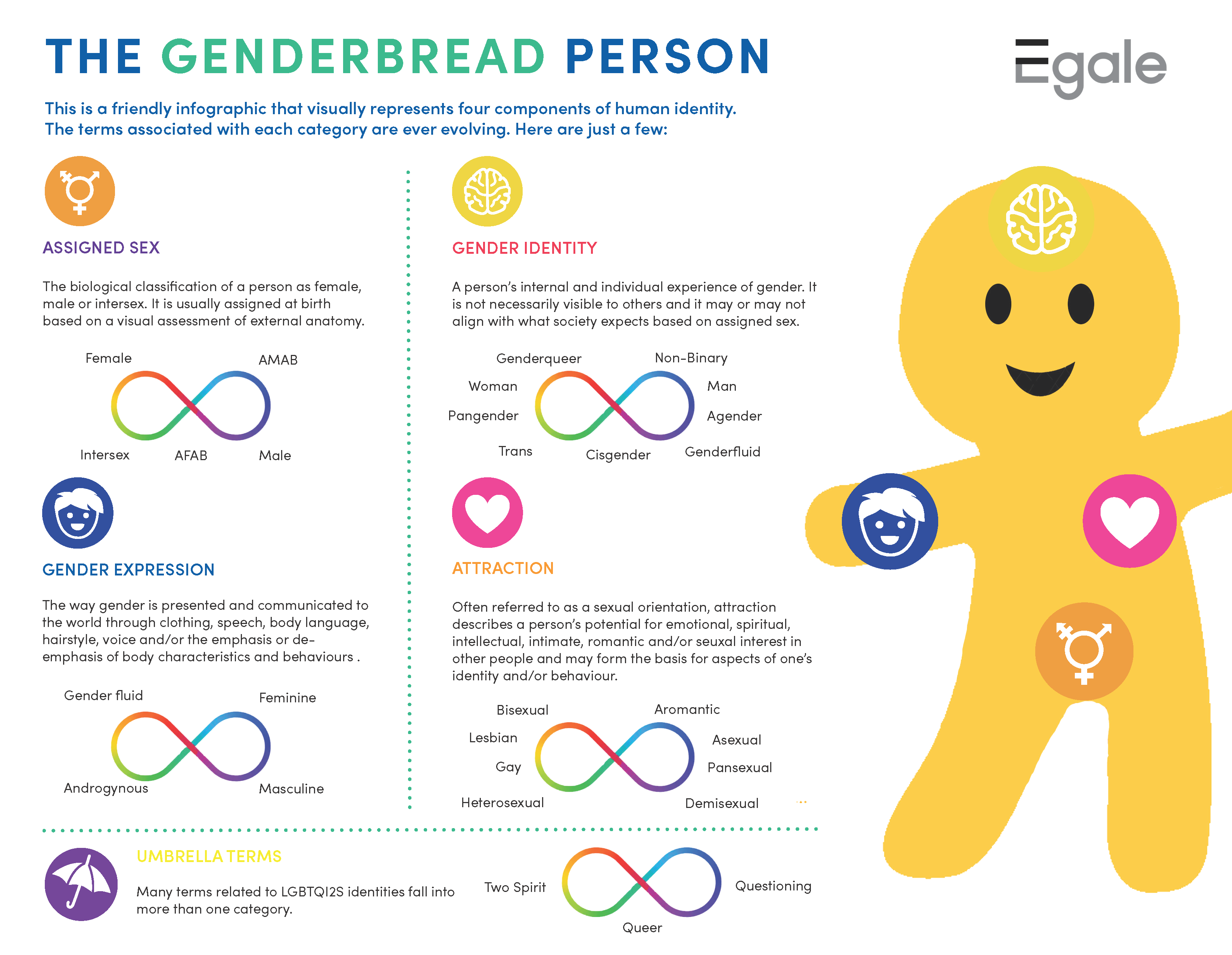 An infographic titled "The Genderbread Person," created by Egale. The subtitle reads: "This is a friendly infographic that visually represents four components of human identity. The terms associated with each category are ever evolving.