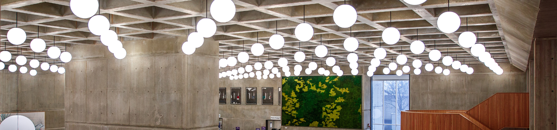 Weldon library ceiling