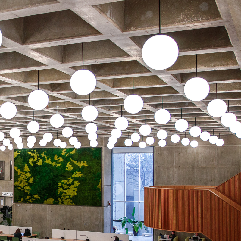 Weldon library ceiling