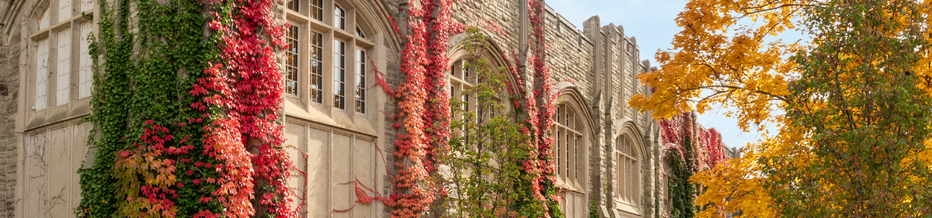campus in the fall