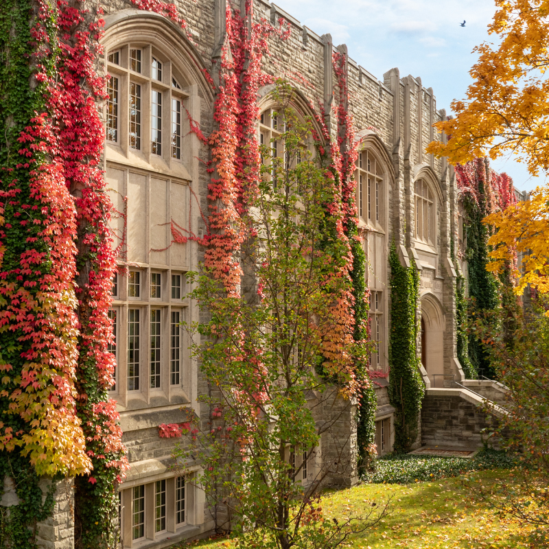 campus in the fall