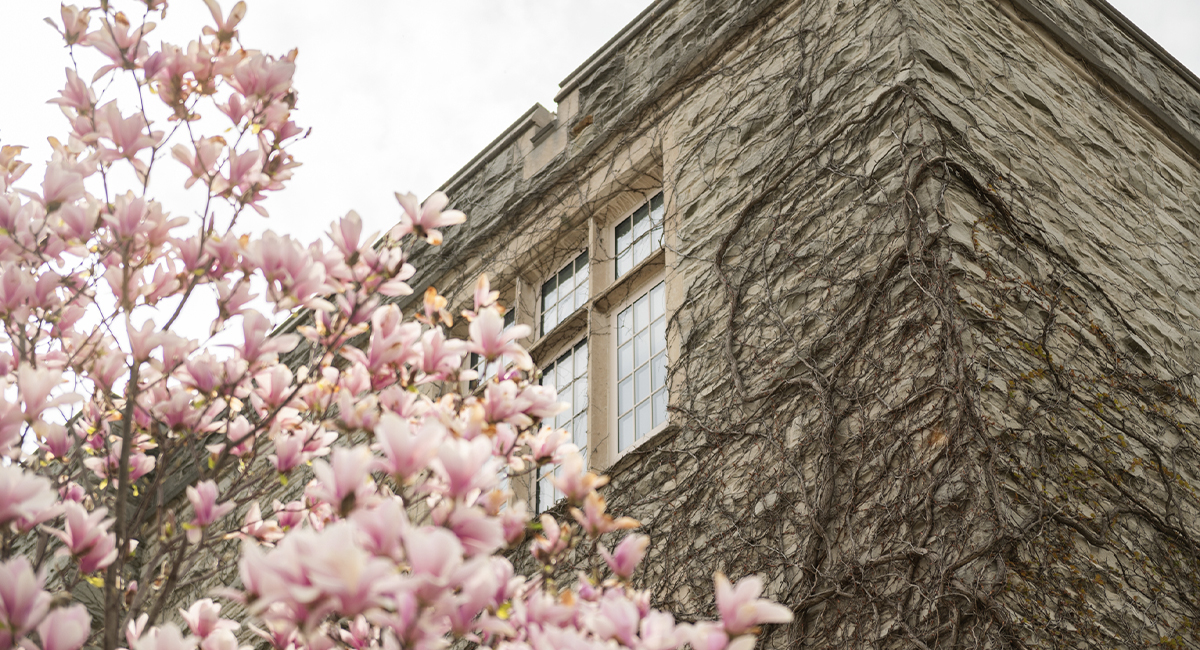 Spring Exterior