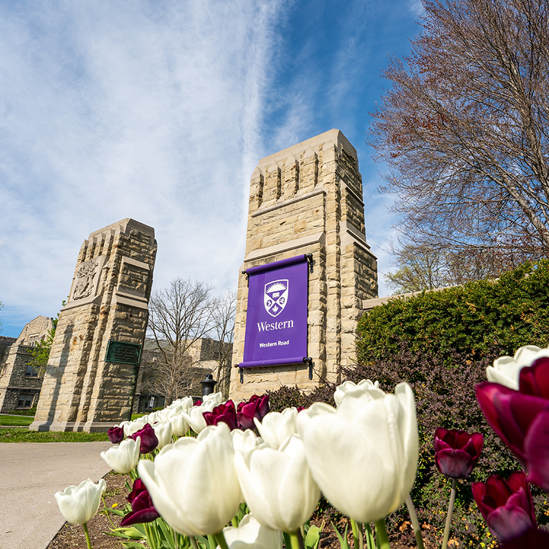 Stone gates at the Western Road entrance to Western University, with a purple Western banner and tulips blooming in the foreground.