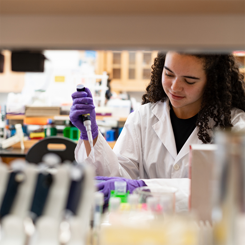 A student in a white lab coat and purple gloves pipetting samples in a laboratory, with lab equipment and supplies in the background.