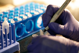 Close-up of gloved hands labeling small sample tubes in a laboratory, with a blue plastic test tube rack in the background.