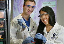 BMSc Students working in a lab