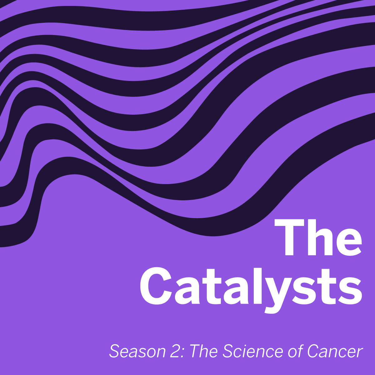 The Catalysts